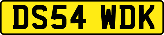DS54WDK