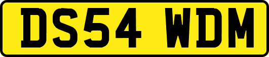 DS54WDM