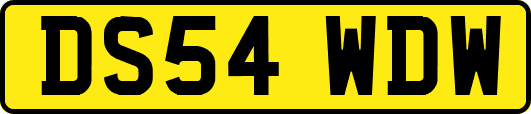 DS54WDW