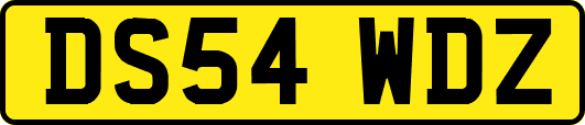 DS54WDZ