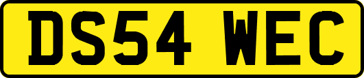 DS54WEC