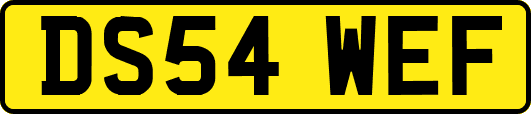 DS54WEF