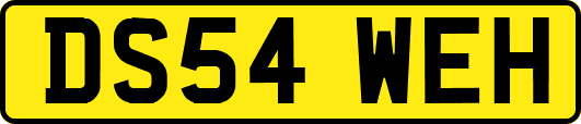 DS54WEH