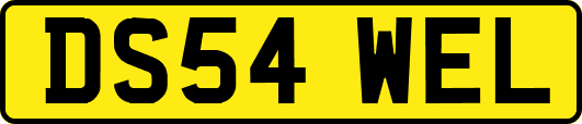 DS54WEL