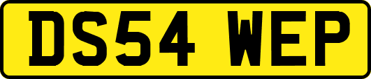 DS54WEP