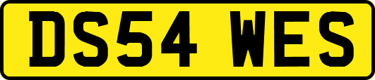 DS54WES