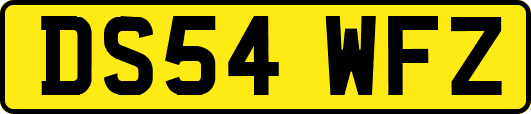 DS54WFZ
