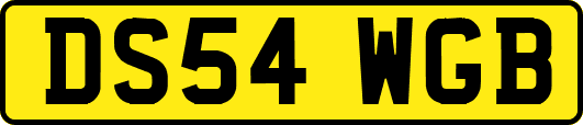 DS54WGB