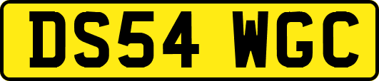 DS54WGC