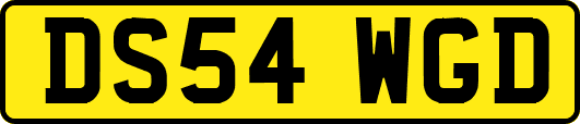DS54WGD
