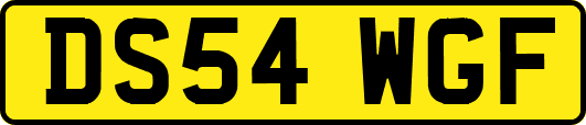 DS54WGF