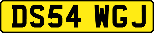 DS54WGJ
