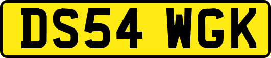 DS54WGK