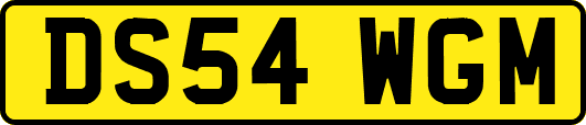 DS54WGM