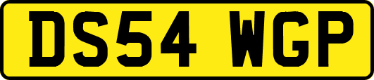 DS54WGP