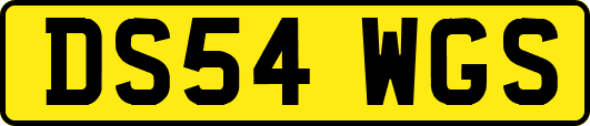 DS54WGS
