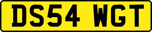 DS54WGT