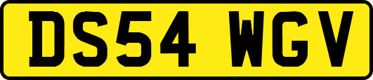 DS54WGV