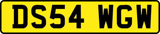 DS54WGW