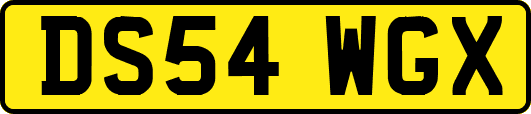 DS54WGX