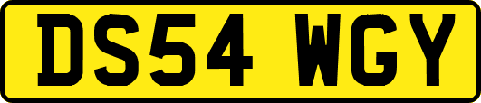 DS54WGY