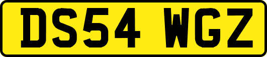 DS54WGZ
