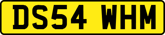 DS54WHM