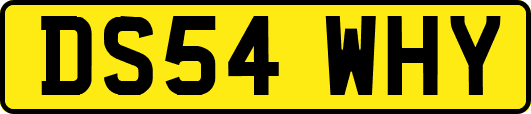 DS54WHY