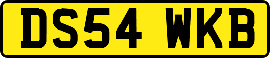 DS54WKB