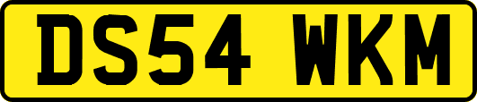 DS54WKM