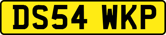 DS54WKP