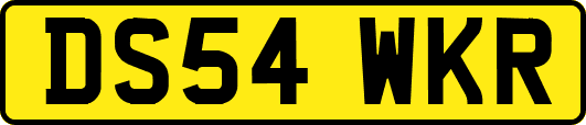DS54WKR
