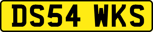 DS54WKS