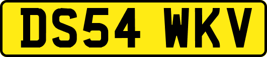 DS54WKV
