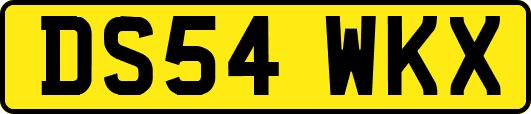 DS54WKX