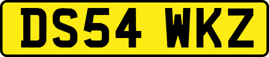 DS54WKZ