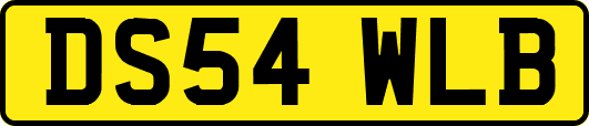 DS54WLB