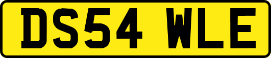 DS54WLE