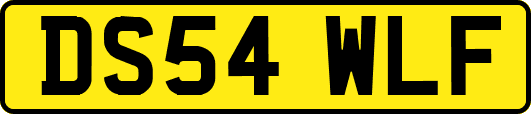 DS54WLF