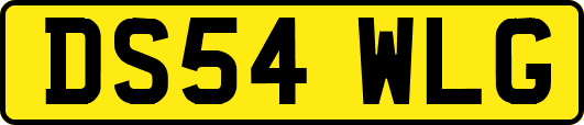DS54WLG