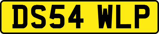 DS54WLP