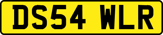 DS54WLR