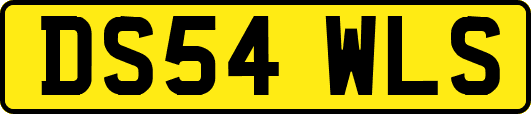 DS54WLS