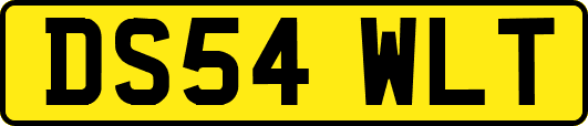 DS54WLT