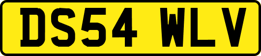 DS54WLV