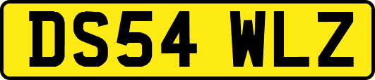 DS54WLZ