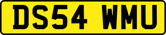 DS54WMU