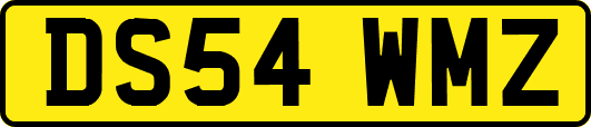 DS54WMZ