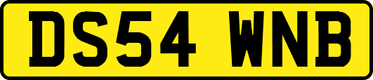 DS54WNB