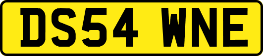DS54WNE